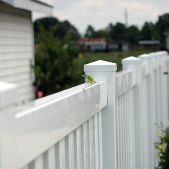 lake-wales-fencing-companyZrcMW5X
